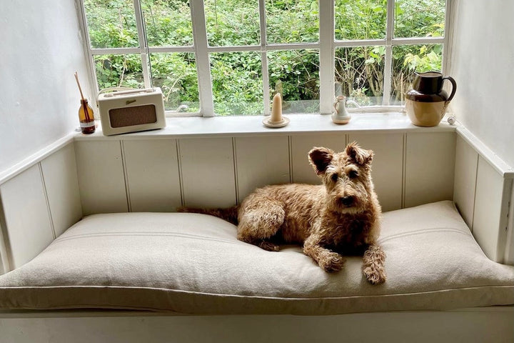 Made to Measure Cushions