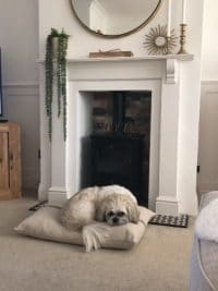 Rustic Grey Stripe Grainsack Floor Cushion / Pet Bed