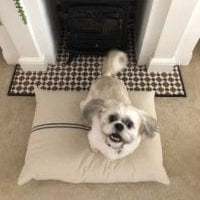 Rustic Grey Stripe Grainsack Floor Cushion / Pet Bed